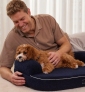 Win 1 of 7 Pet Packs (Choice of Dog or Cat, each pack has a SpineAlign Pet Bed + Various Treats & Accessories)